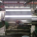 Gegelung Keluli Tahan Karat 316L